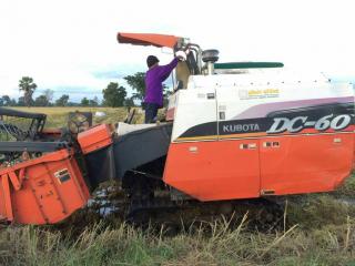 ขายรถเกี่ยวข้าว KUBOTA DC60 จดทะเบียน2553 รถสวยสภาพดี พร้อมใช้งาน เอกสารพร้อมโอน ราคา250,000 สนใจโทร 090-8588220คุณนะ 093-3258446คุณบิว